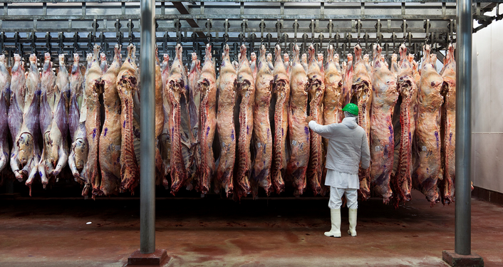 ARGENTINA EXPORTA MÁS CARNE, PERO EL CONSUMO INTERNO CAE Y CRECEN LAS IMPORTACIONES DESDE BRASIL