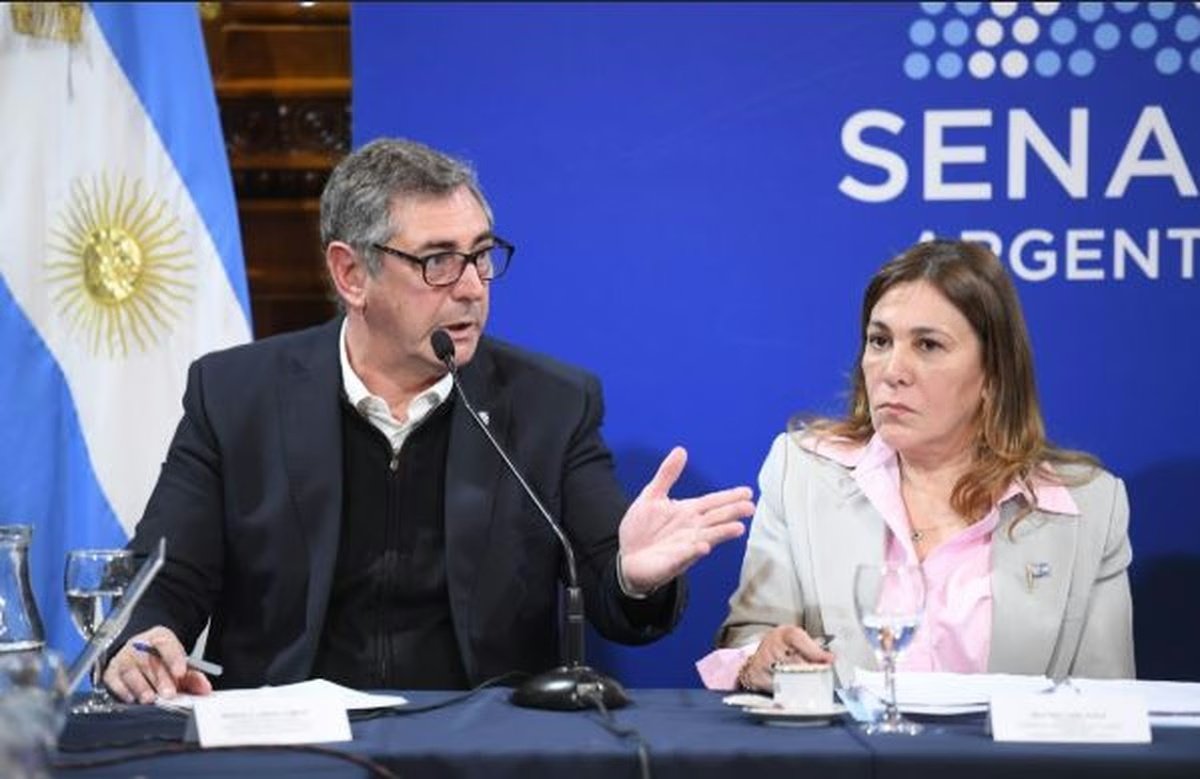 DOBLE VÍA DE LA RUTA 40: VIALIDAD NACIONAL CONFIRMÓ LA FECHA DE REACTIVACIÓN DE LA OBRA