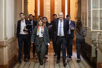 EL GOBIERNO OFRECE MODIFICACIONES EN LA LEY DE TIERRAS PARA DESTRABAR SU APROBACIÓN EN EL SENADO