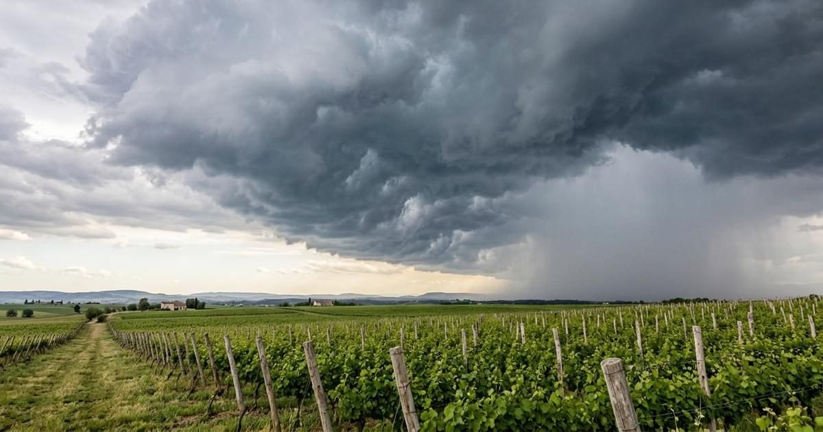 EL NIÑO SE ENCAMINA A UN PICO HISTÓRICO: CUÁNDO ALCANZARÁ SU MÁXIMA INTENSIDAD Y QUÉ PUEDE PASAR EN MENDOZA