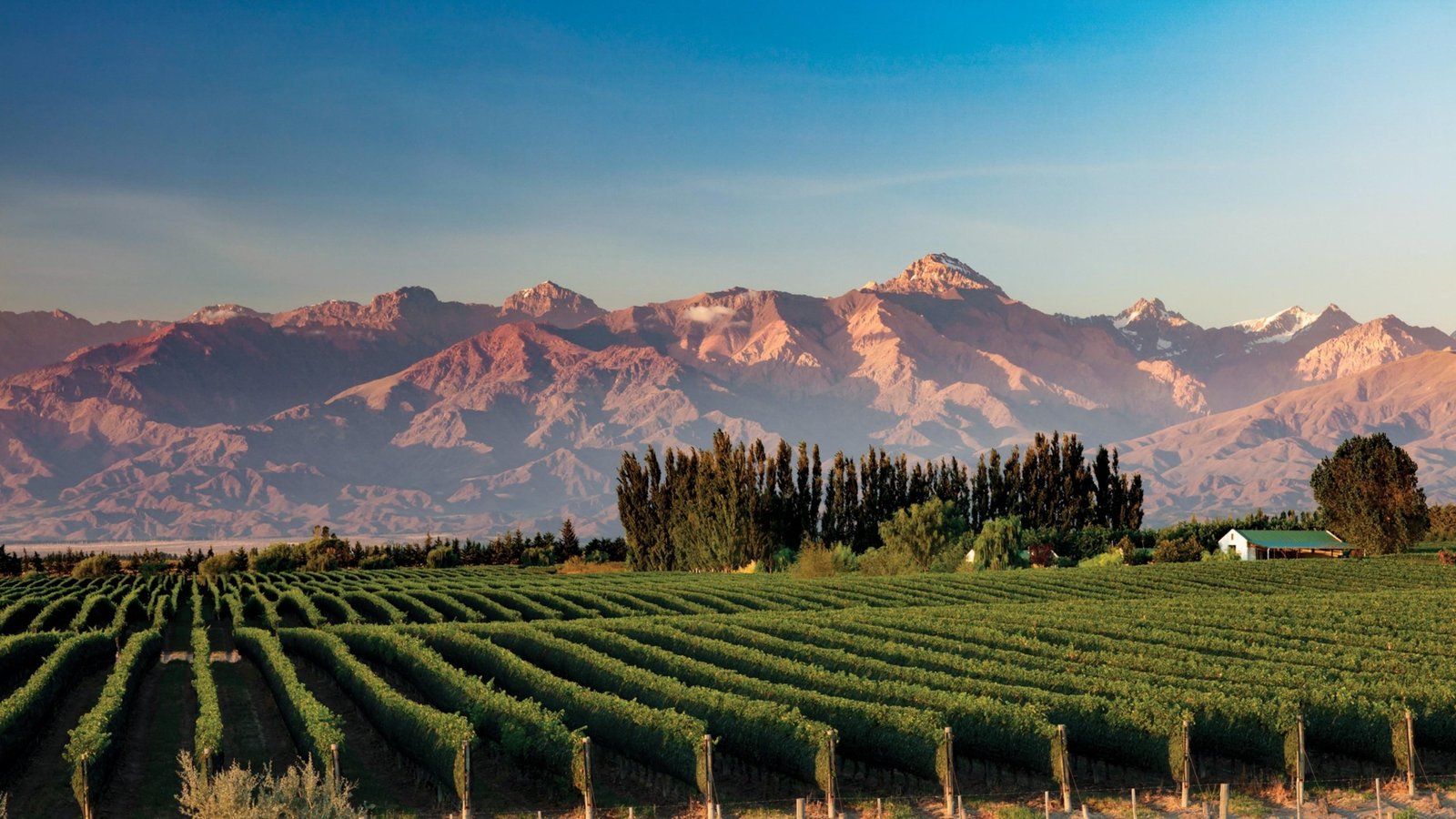 EL PROYECTO DE COBRE QUE BUSCA PRODUCIR UN INSUMO CLAVE PARA LOS VIÑEDOS DE MENDOZA LLEGÓ A LA LEGISLATURA