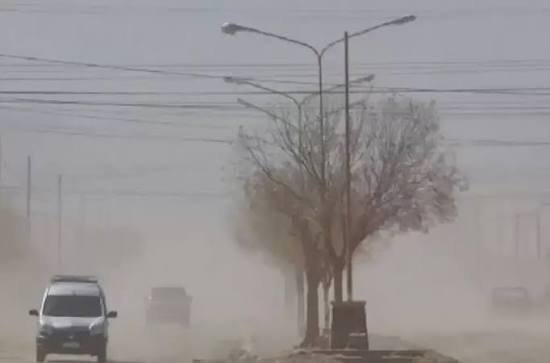 EL ZONDA DEJÓ 64 INCIDENTES EN MENDOZA: ÁRBOLES CAÍDOS, INCENDIOS DE CAMPO Y UN HOMBRE HERIDO EN GUAYMALLÉN