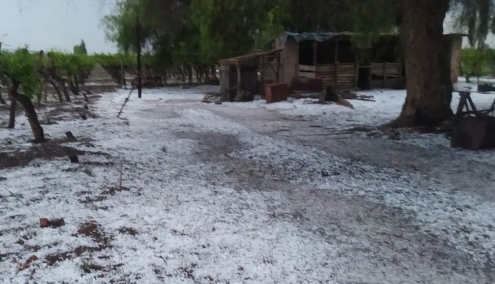 FUERTE TEMPORAL DE LLUVIA Y GRANIZO AFECTO A DISTRITOS AGRICOLAS DE SAN MARTIN