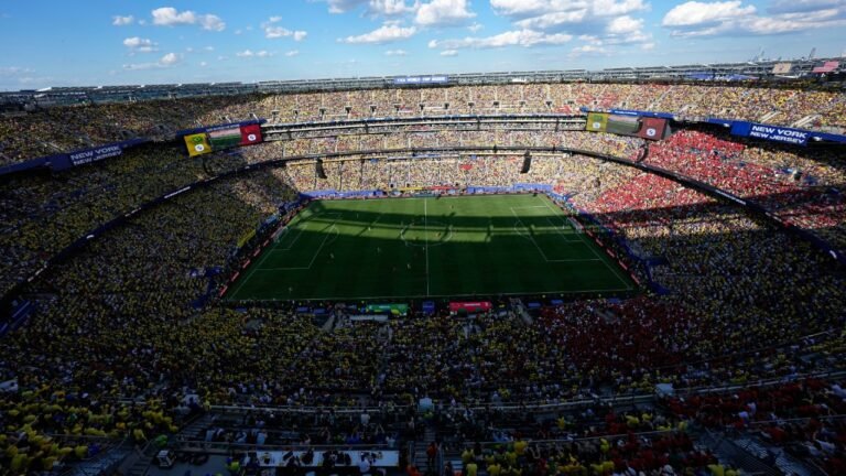 LA FIFA PONDRÁ A LA VENTA FRAGMENTOS DEL CÉSPED DE LA FINAL DEL MUNDIAL 2026: CUÁNTO COSTARÁN Y QUIÉNES PODRÁN COMPRARLOS