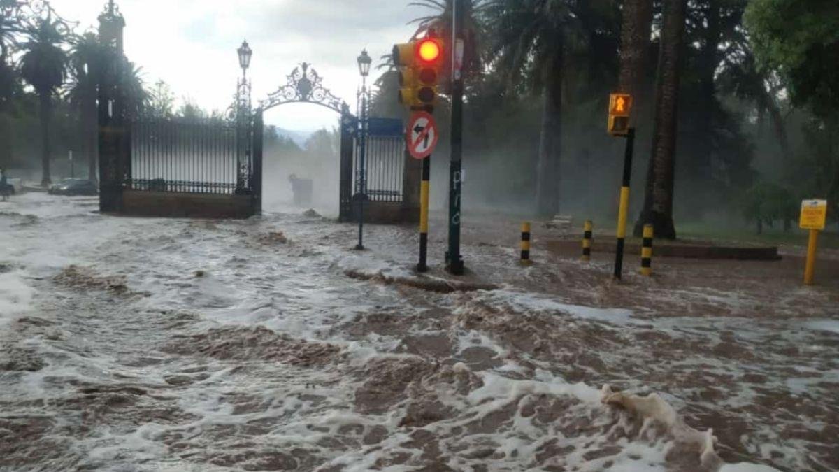 MENDOZA ANTE LAS CATÁSTROFES: CASI 8 DE CADA 10 PERSONAS NO SABEN CÓMO ACTUAR
