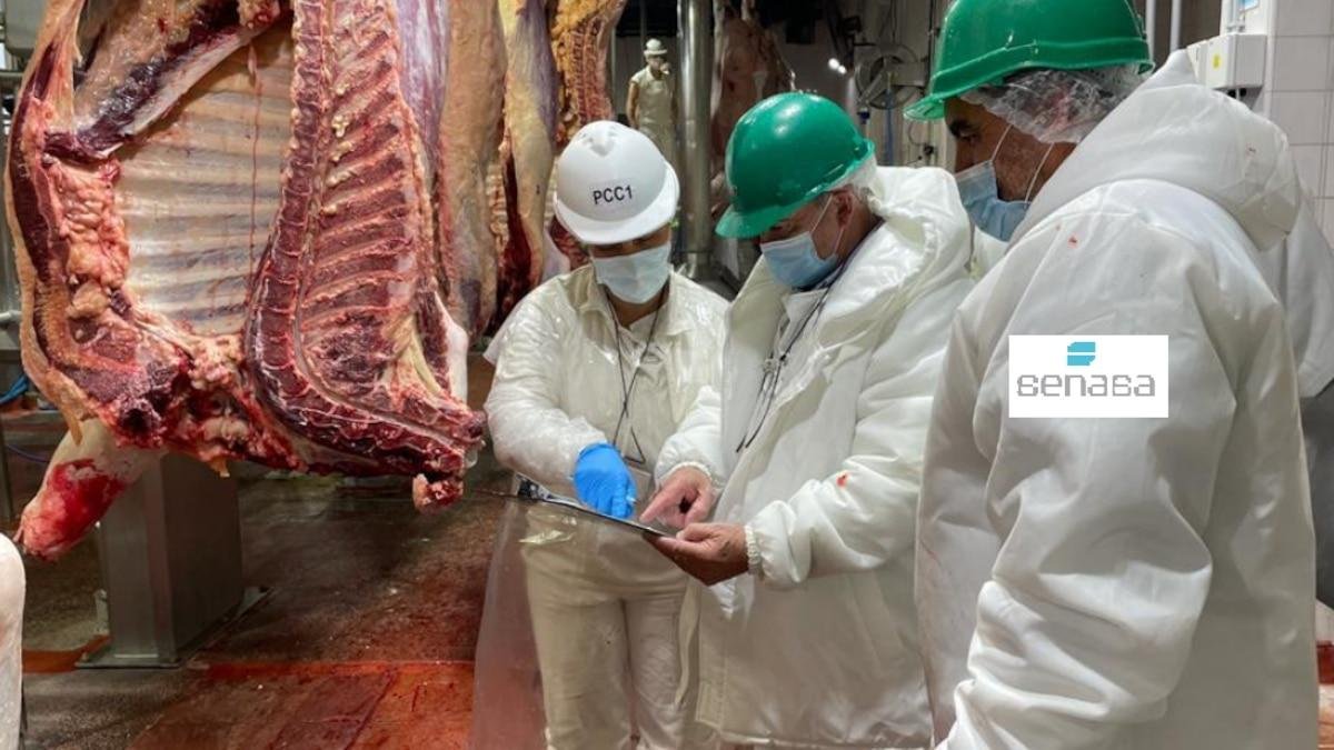 MILEI DISOLVIÓ EL INAL Y TRANSFIRIÓ EL CONTROL SANITARIO DE LOS ALIMENTOS AL SENASA