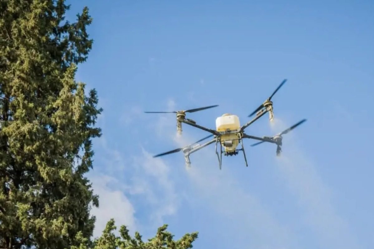 SAN MARTÍN PRUEBA LA DESINFECCIÓN CON DRONES EN LAS PLAZAS PARA COMBATIR PLAGAS DEL ARBOLADO