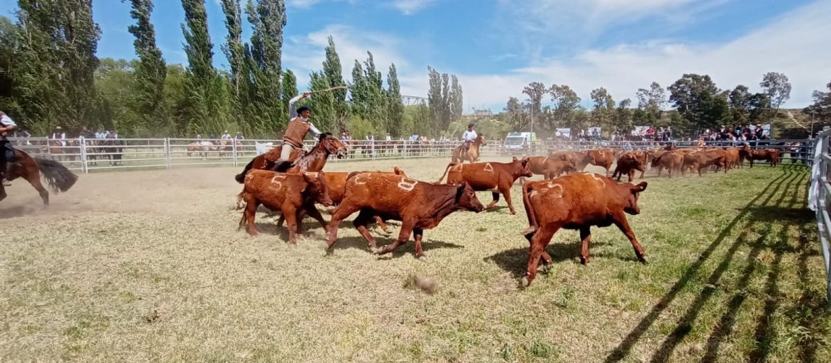 SAN MARTÍN SE PREPARA PARA UN ENCUENTRO DE APARTE CAMPERO EN COMO LOS ROBLES