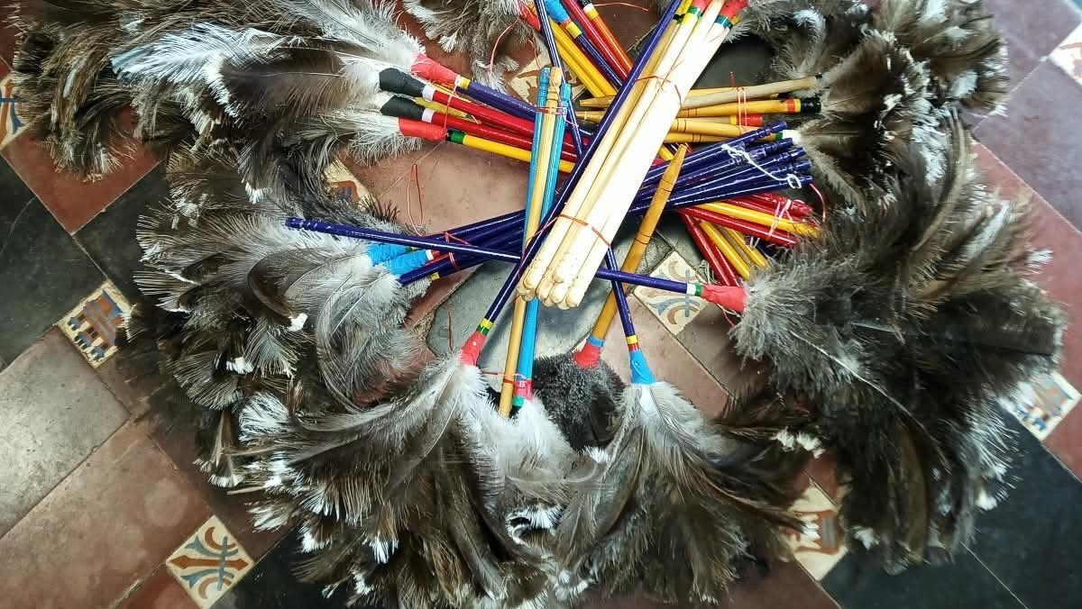SECUESTRARON MÁS DE 50 PLUMEROS CON PLUMAS DE CHOIQUE Y ÑANDÚ EN MAIPÚ
