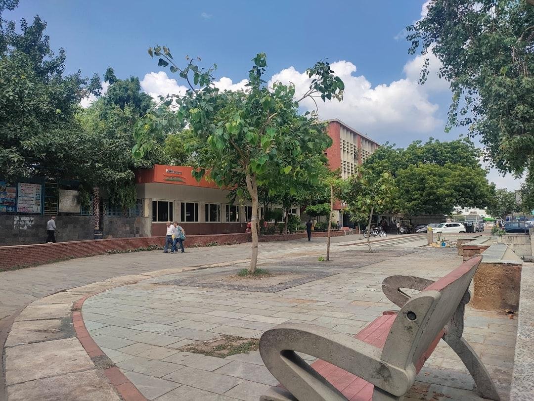TUPUNGATO RELEVÓ 120 ÁRBOLES EN RIESGO Y PREPARA UN OPERATIVO PREVENTIVO ANTE LAS TORMENTAS