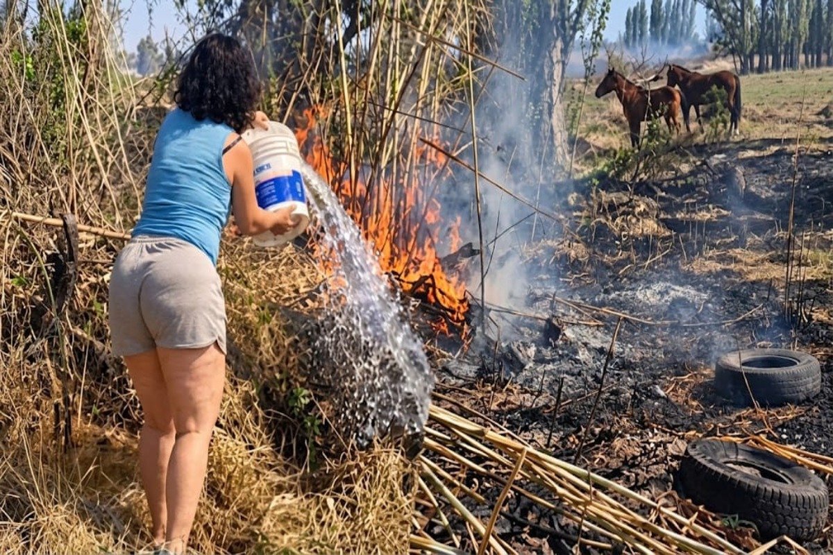 UN INCENDIO EN CAMPOS INCULTOS MANTIENE EN ALERTA A VECINOS DE RIVADAVIA
