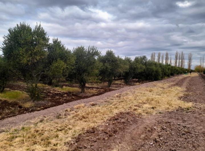 UNA MUJER SOBREVIVIÓ A UN INTENTO DE FEMICIDIO EN LAVALLE Y CONTÓ CÓMO FUE EL ATAQUE