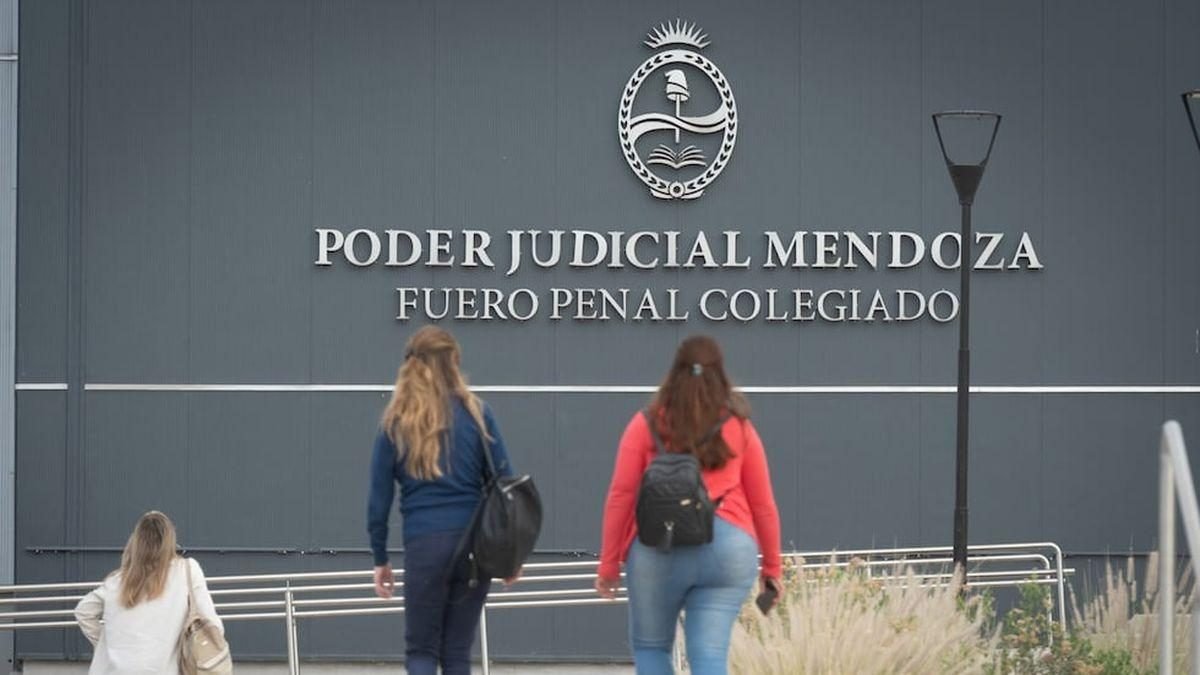 VALLE DE UCO: MÁS DE LA MITAD DE LAS AUDIENCIAS PENALES SON POR VIOLENCIA DE GÉNERO