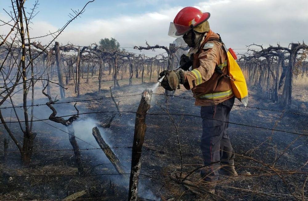 ZONDA EN MENDOZA: LAVALLE, GUAYMALLÉN Y MALARGÜE FUERON LOS DEPARTAMENTOS MÁS AFECTADOS